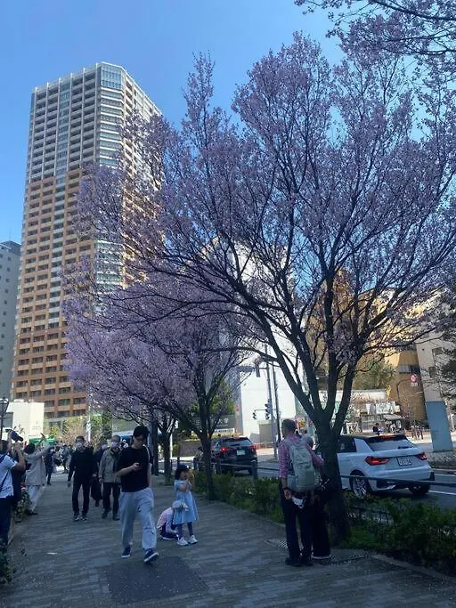 小岩民泊宿 Tokyo